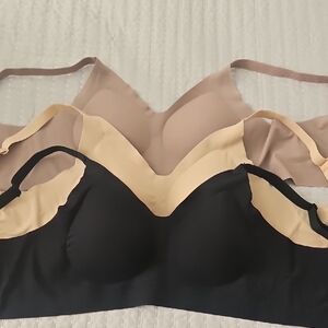 Elegant Black and Tan Seamless Bras